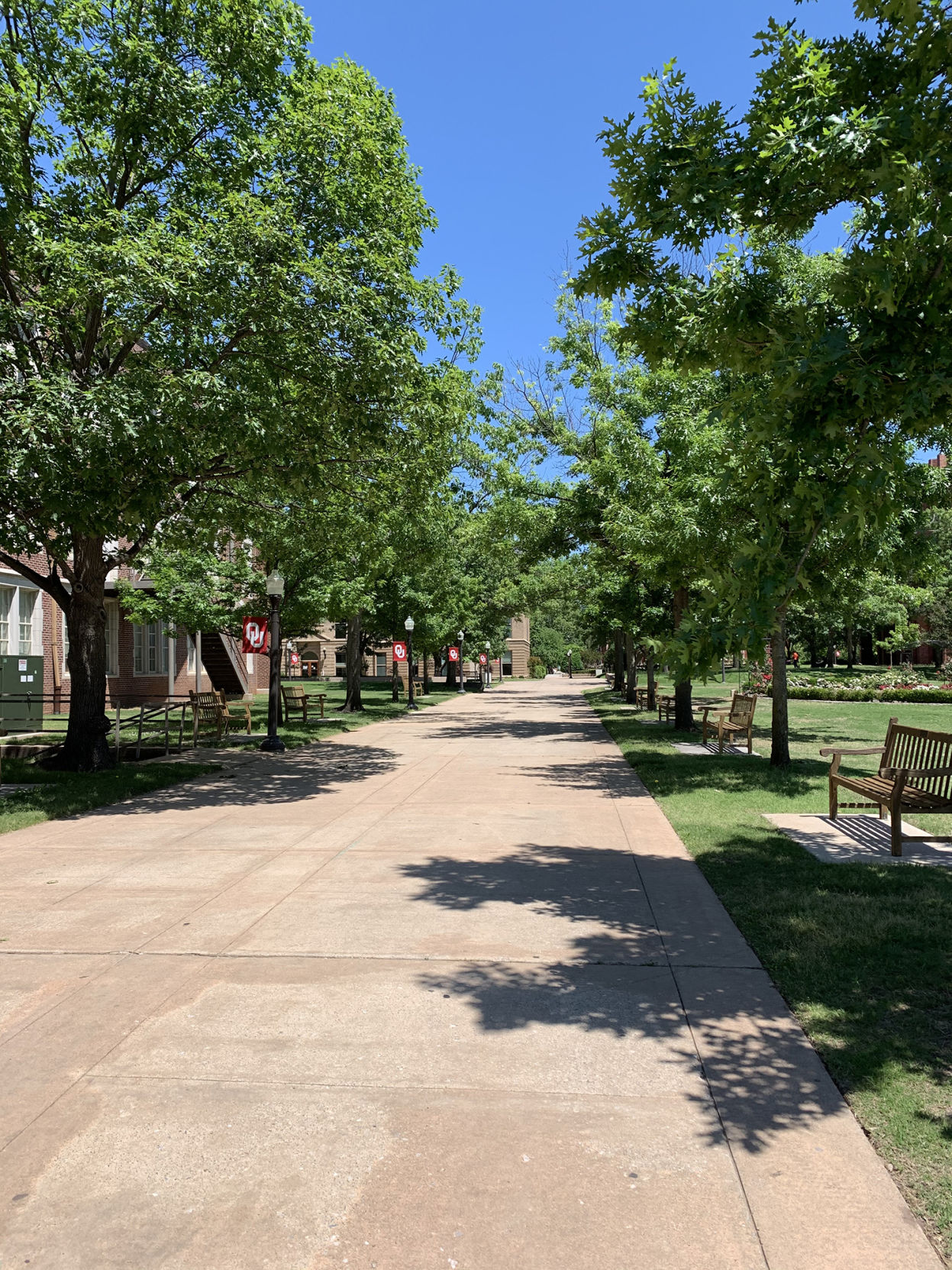 "Regents Walk"